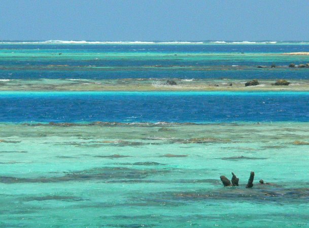 46- Couleurs de la barriere de corail 